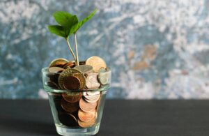 Plante qui pousse dans des pièces qui sont dans un pot